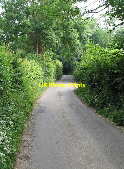 Photo 6"x4" Country road, near Gorsley Common Gorsley Common c2007 P1