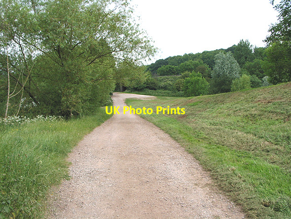 Photo 6"x4" Track between the lakes at Hartleton Bromsash c2007