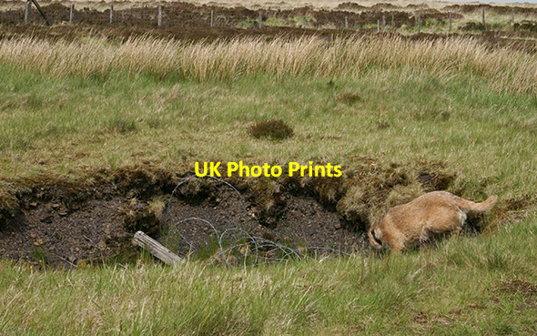 Photo 6"x4" Trial Shaft on Darwen Moor Whitehall\/SD6920 c2007