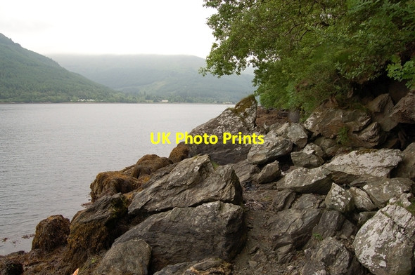 Photo 6"x4" Shoreline of Loch Long Ardgartan c2007