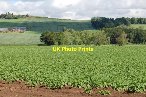 Photo 6"x4" Easter Drumatherty Kirkton of Lethendy c2007