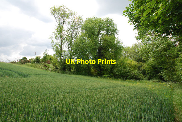 Photo 6"x4" Site of well or spring Baverstock c2007