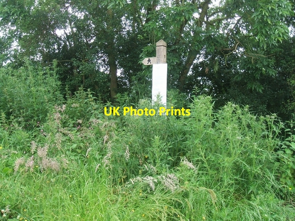 Photo 6"x4" Overgrown footpath Bradley\/SJ8817 c2007