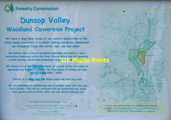 Photo 6"x4" Dunsop Valley Woodland Conversion Project Dunsop Bridge c2007