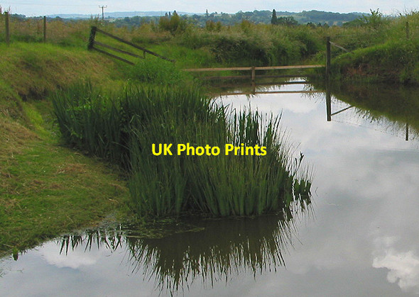 Photo 6"x4" Pond at Penallt King's Caple c2007