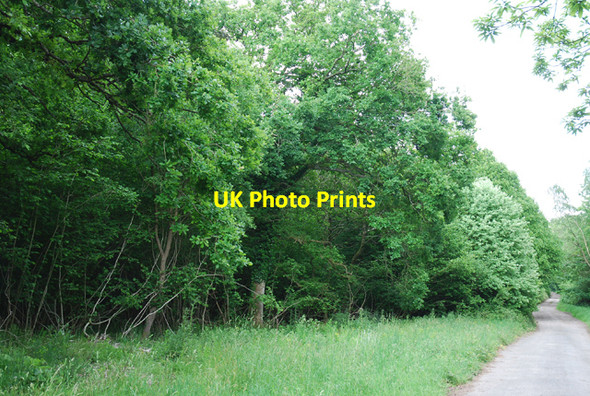 Photo 6"x4" Tare Coat Little Langford\/SU0436 c2007