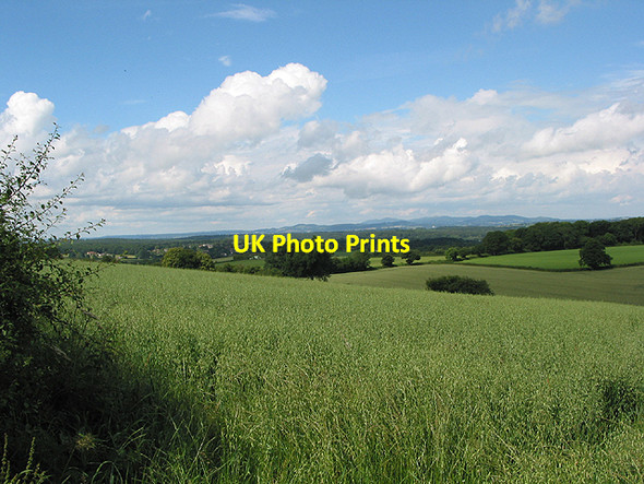 Photo 6"x4" View from Linton Hill Linton Hill\/SO6624 c2007