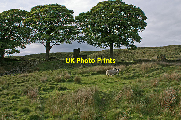 Photo 6"x4" Ruins of Drinkwaters Farm Brinscall c2007
