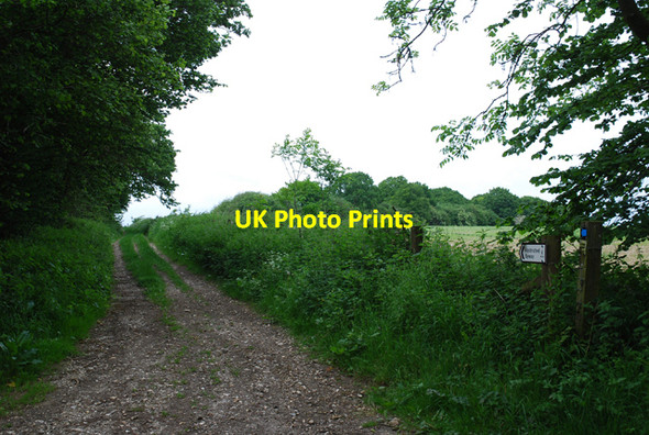 Photo 6"x4" To Hanging Langford Camp Dinton\/SU0131 c2007