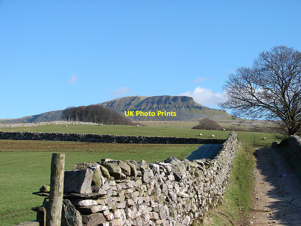 Photo 6"x4" The Pennine Way path to Pen-y-ghent Brackenbottom c2007