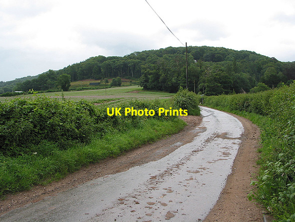 Photo 6"x4" The road to Bull's Hill Bull's Hill\/SO5920 c2007