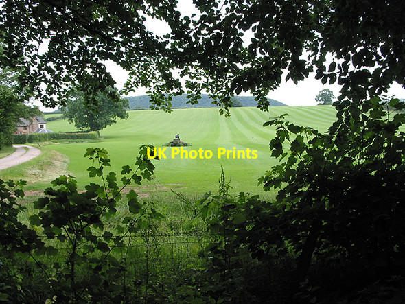 Photo 6"x4" Caring for the turfgrass crop at Hom Green Coughton\/SO5921 c2007
