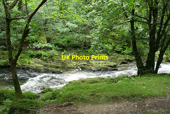 Photo 6"x4" Whitchurch: Walkham Valley Grenofen c2007