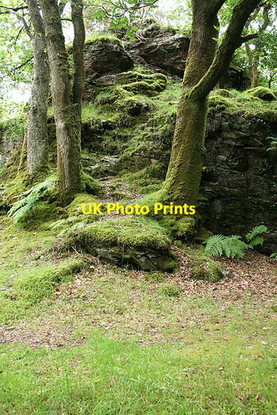 Photo 6"x4" Whitchurch: Goat Rock Buckland Monachorum c2007