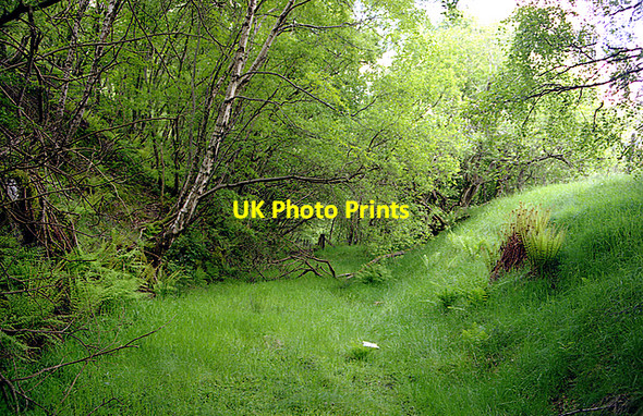Photo 6"x4" Mid-Wales Railway trackbed at Pont Marteg Nantserth c2000