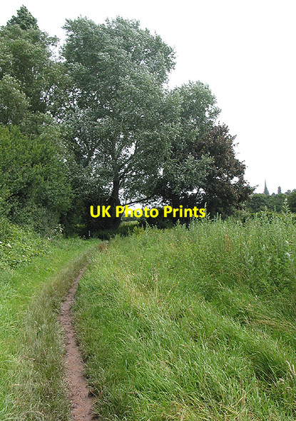 Photo 6"x4" Footpath by the Wye Ross-on-Wye c2007