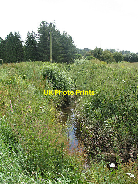 Photo 6"x4" Stream down to the Wye Ross-on-Wye c2007