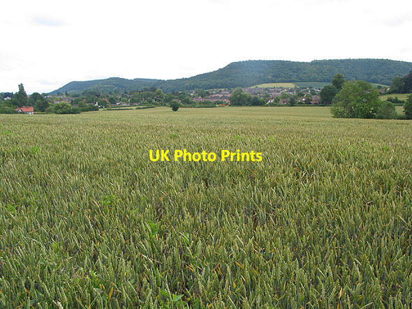 Photo 6"x4" Wheat field near Archenfield Ross-on-Wye c2007