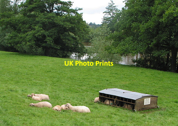 Photo 6"x4" Pasture by the Wye Hole-in-the Wall c2007
