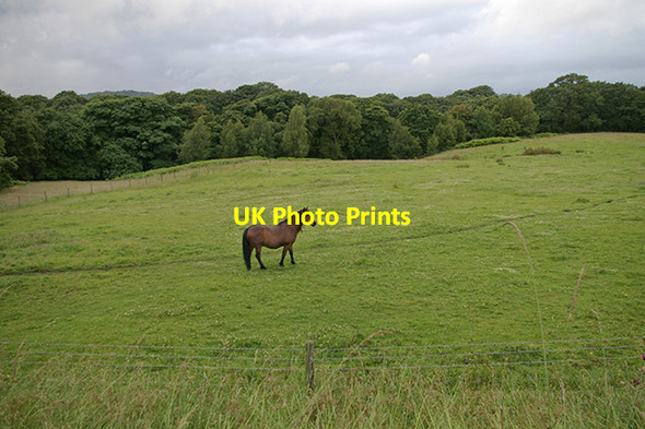 Photo 6"x4" Field by the Leeds Liverpool canal Feniscowles\/SD6425 c2007