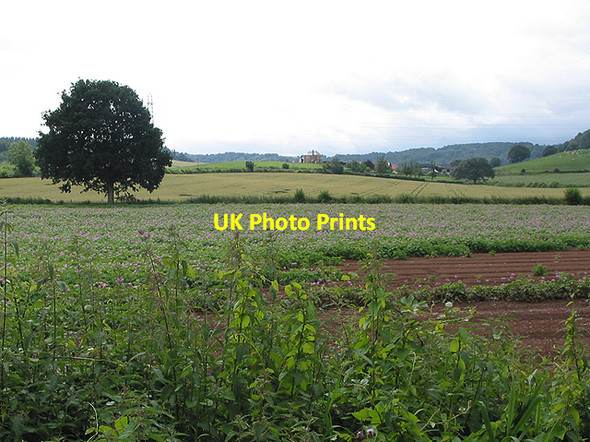 Photo 6"x4" Potato field on Pontshill to Coughton road Pontshill c2007