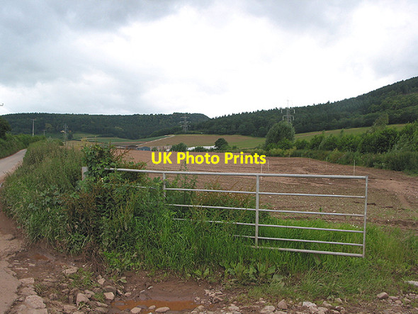 Photo 6"x4" Open gate near Coleraine Farm Coughton\/SO5921 c2007