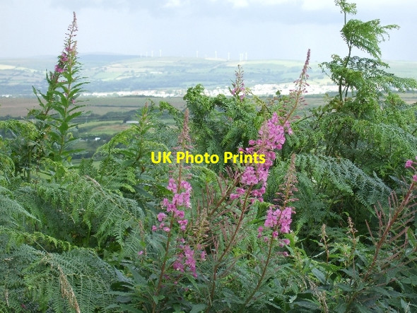 Photo 6"x4" Lane nr Windmill Farm Degar c2007