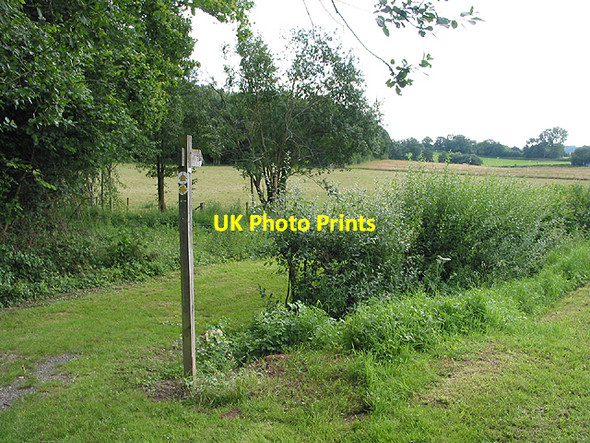 Photo 6"x4" Footpath near Reslaw Wood Boulsdon c2007