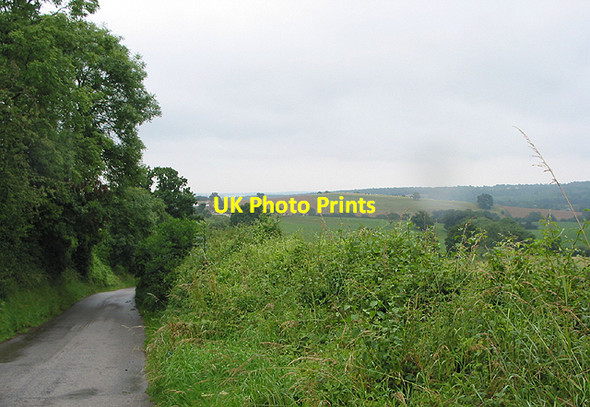 Photo 6"x4" The road to Little Gorsley Aston Crews c2007