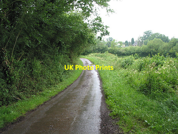 Photo 6"x4" Road between Little Gorsley and Aston Ingham Aston Ingham c2007