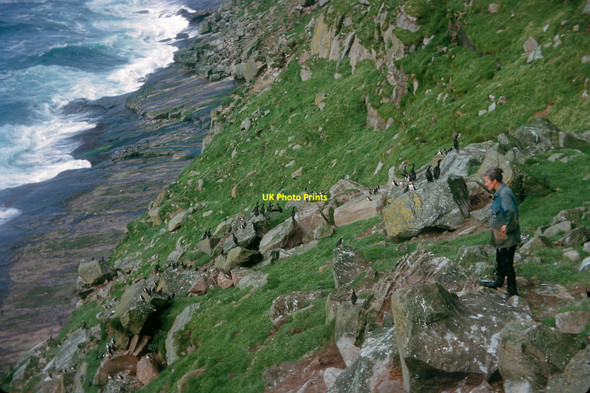 Photo 6"x4" On a traverse of Ufshins Da Hametoon c1964