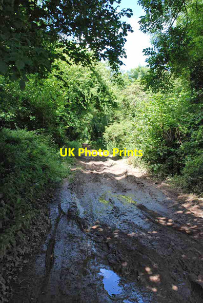 Photo 6"x4" Muddier parts of Old Shaftsbury Drove Netherhampton c2007