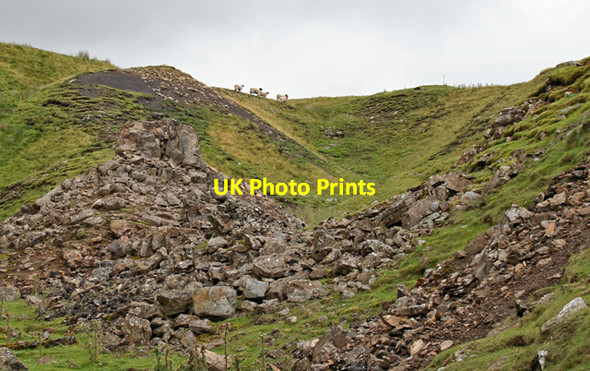 Photo 6"x4" Bales Hush Bowlees\/NY9028 c2007
