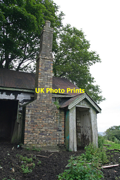 Photo 6"x4" Abandoned house Thringarth c2007