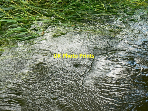 Photo 6"x4" The stream at Weaver's Bridge, Cricklade Cricklade c2007