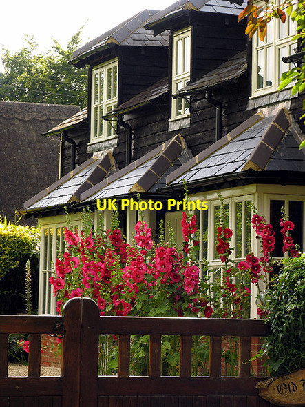 Photo 6"x4" An English Country Garden: Woolstone Woolstone\/SU2987 c2007