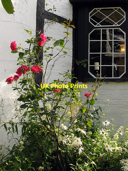 Photo 6"x4" White Horse Inn Woolstone: Garden Woolstone\/SU2987 c2007