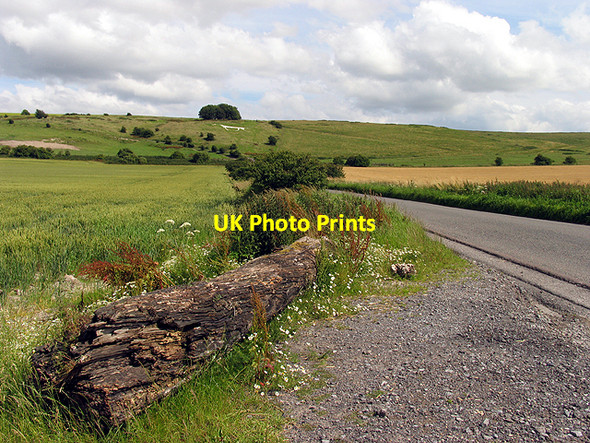 Photo 6"x4" Hackpen Whitehorse Winterbourne Bassett c2007