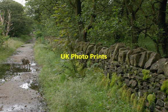 Photo 6"x4" Mill Lane Abbey Village c2007