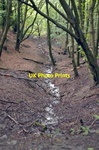 Photo 6"x4" One of the many issues that feed the River Roddlesworth Tockholes c2007