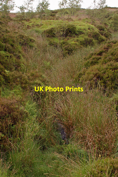 Photo 6"x4" Bold Venture Brook Darwen c2007