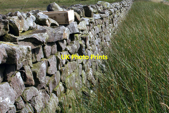 Photo 6"x4" Grouse Grit box Abbeystead c2007
