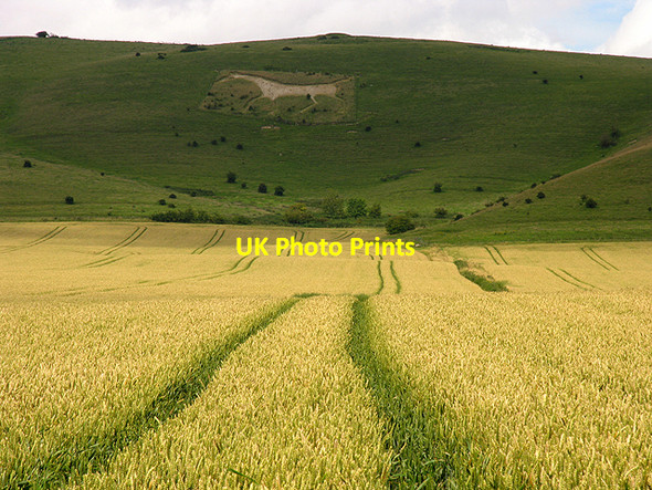 Photo 6"x4" Alton Barnes: Farmland and White Horse Alton Barnes c2007