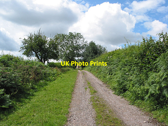 Photo 6"x4" Road to Lawns Farm Ross-on-Wye c2007