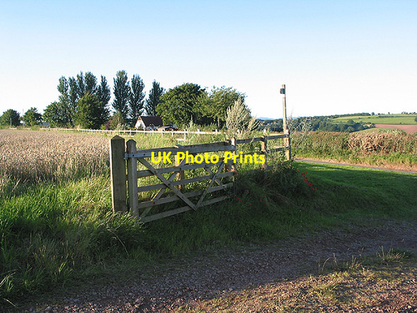 Photo 6"x4" Footpath marker near Eccleswall Barns Bromsash c2007