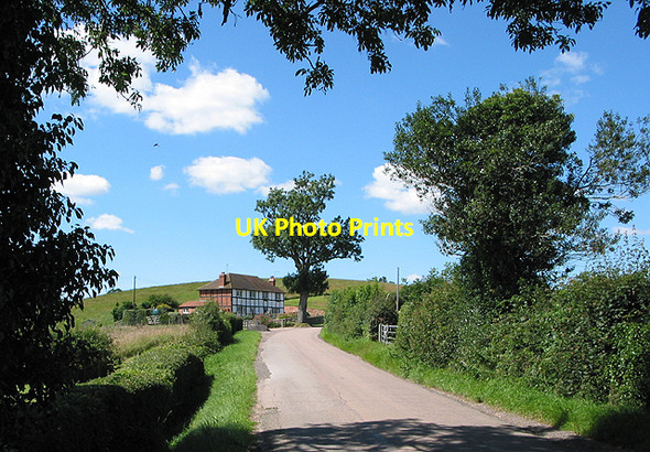 Photo 6"x4" Country road near Tiller's Green Tillers' Green c2007