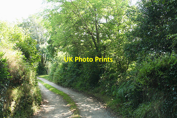 Photo 6"x4" Altarnun:: entrance to Trenarrett Lower Tregunnon c2007