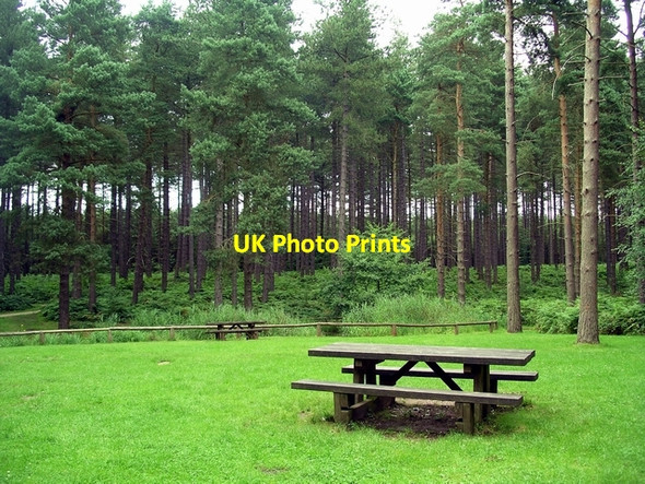 Photo 6"x4" Picnic area, Sherwood Pines Kings Clipstone c2007
