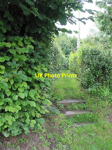 Photo 6"x4" Steps at the start of the footpath Crow Hill\/SO6326 c2007