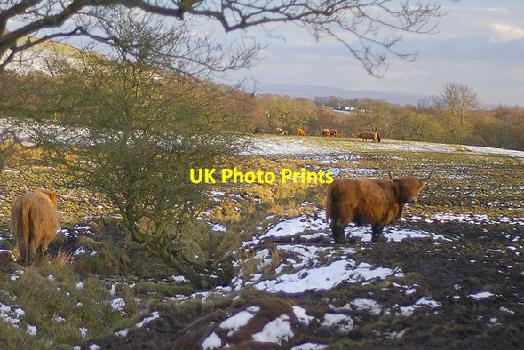 Photo 6"x4" Field by Bleasdale Lane Bleasdale c2006